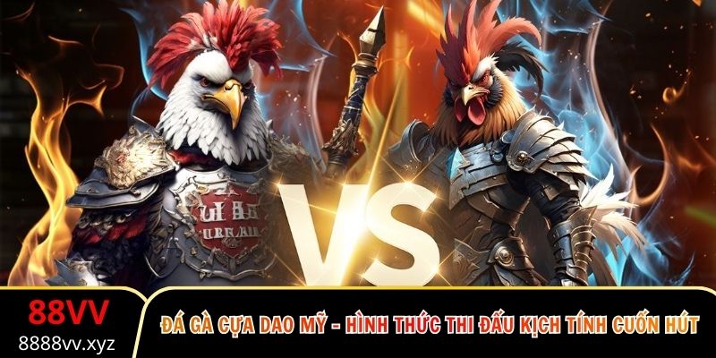 Đá Gà Cựa Dao Mỹ - Hình Thức Thi Đấu Kịch Tính Cuốn Hút